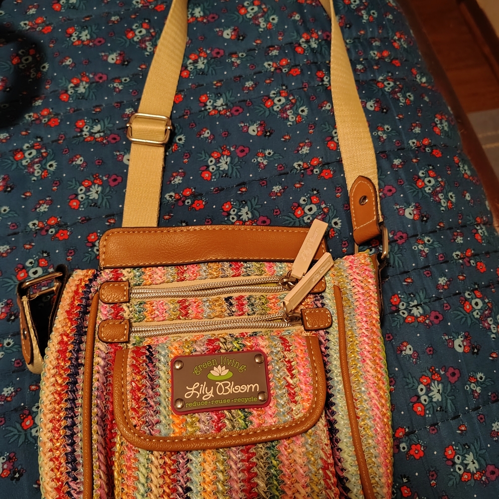 Lily Bloom Colorful Striped Crossbody Bag